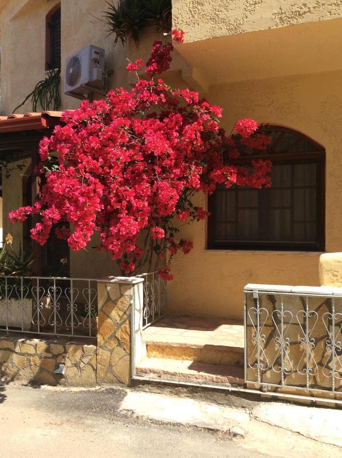 Apartament Anna *